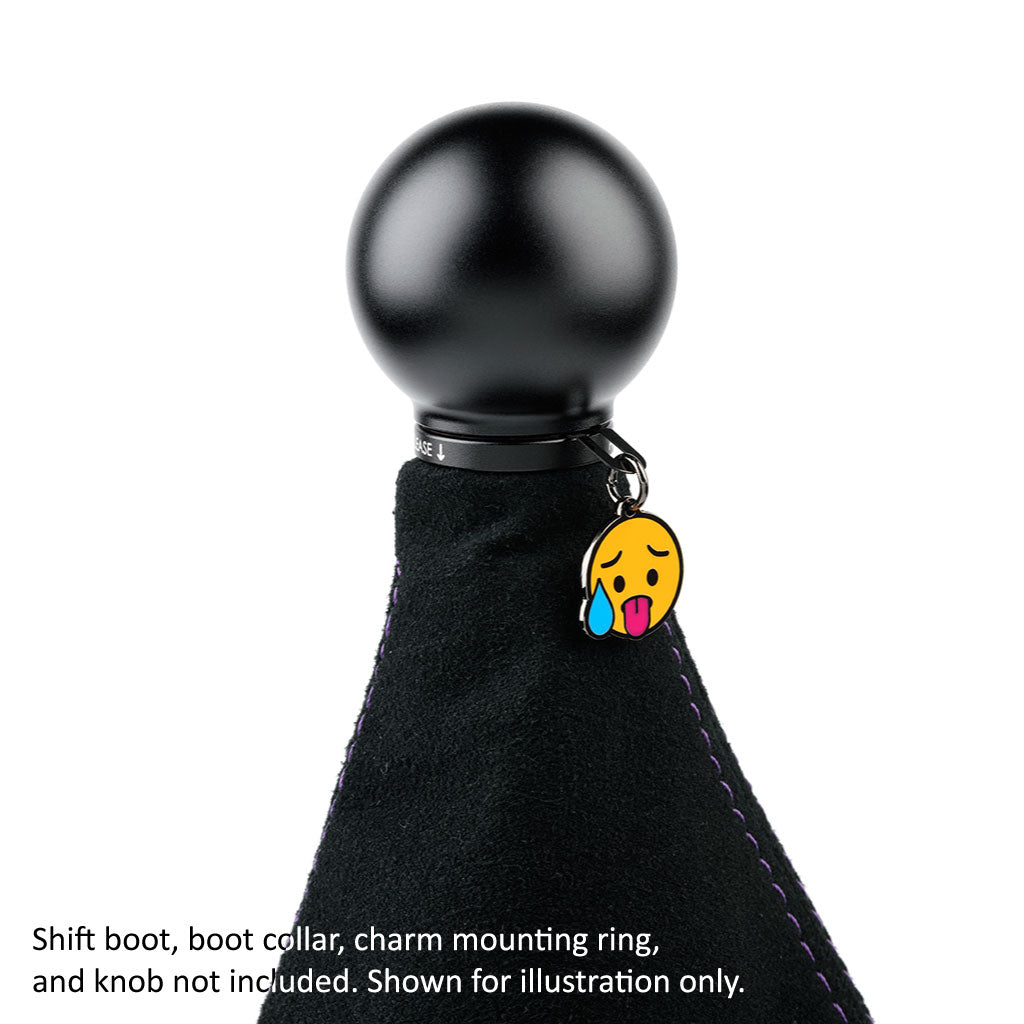 ACUITY Season 1 Shift Knob Charms