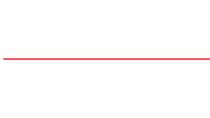 Valvetronic Designs