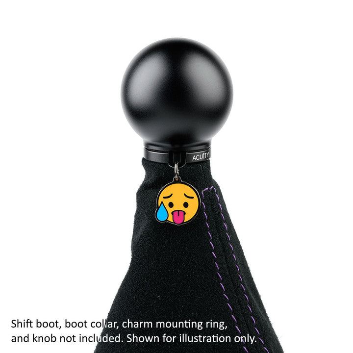 ACUiTY Season 1 Shift Knob Charms
