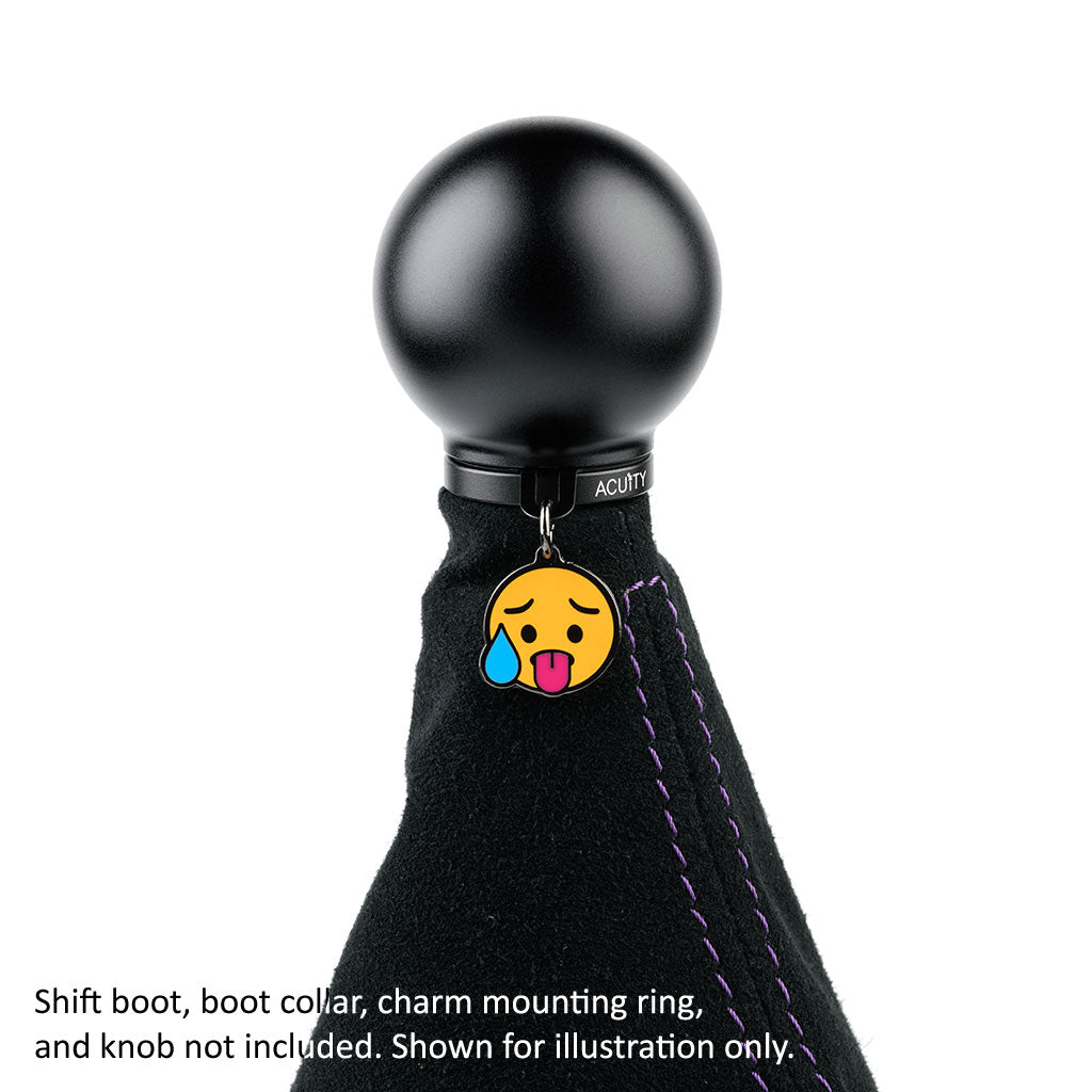 ACUITY Season 1 Shift Knob Charms