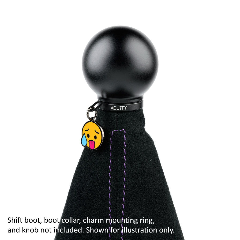ACUiTY Season 1 Shift Knob Charms