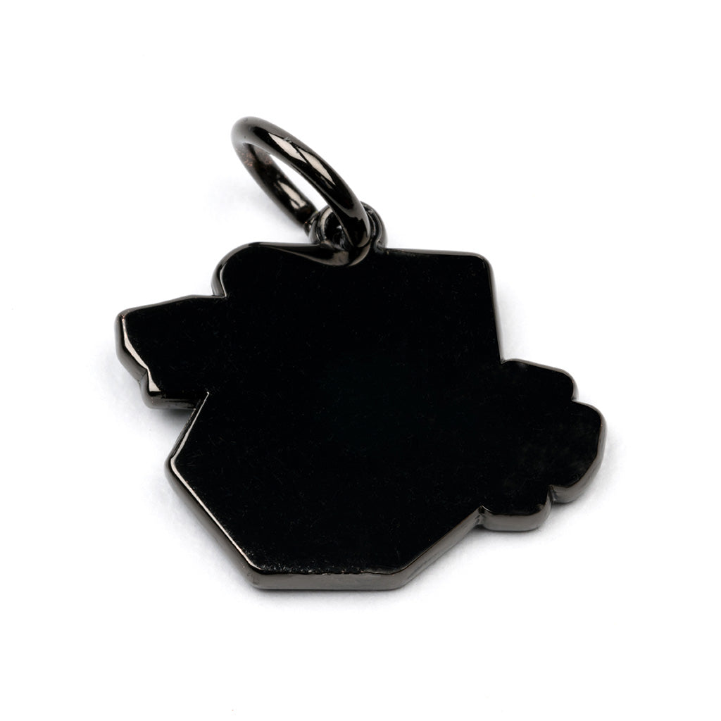 ACUiTY Season 1 Shift Knob Charms