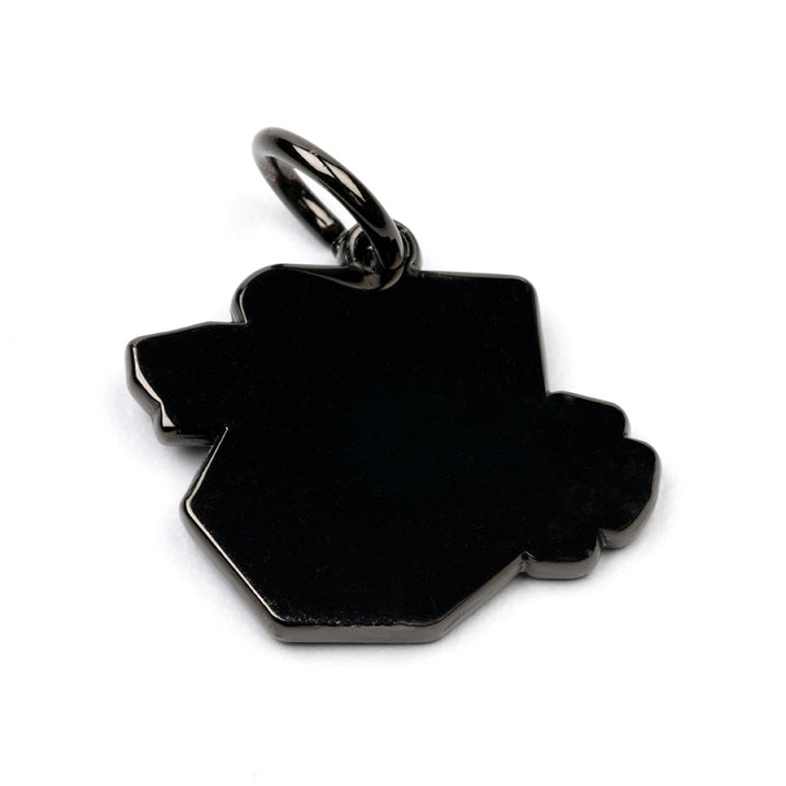 ACUiTY Season 1 Shift Knob Charms