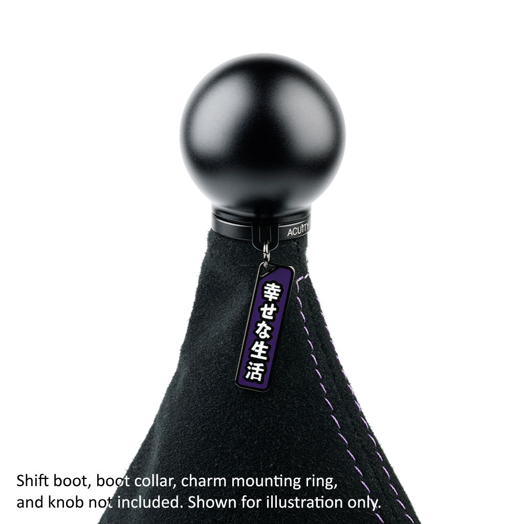 ACUiTY Season 1 Shift Knob Charms