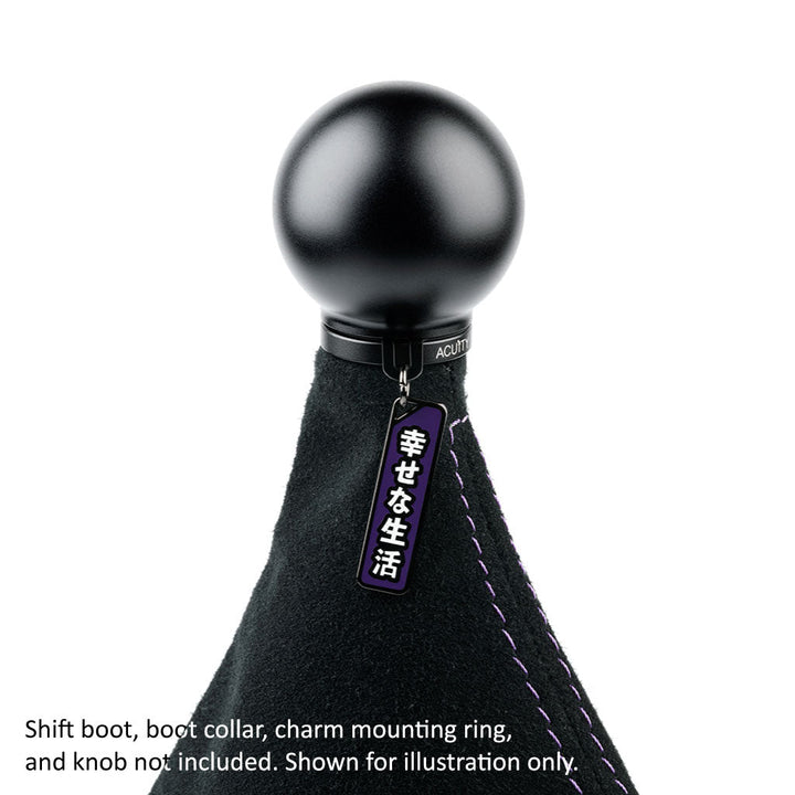 ACUiTY Season 1 Shift Knob Charms