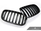 AutoTecknic Carbon Fiber Front Grille Set - BMW E70 X5 | X5M | E71 X6 | X6M